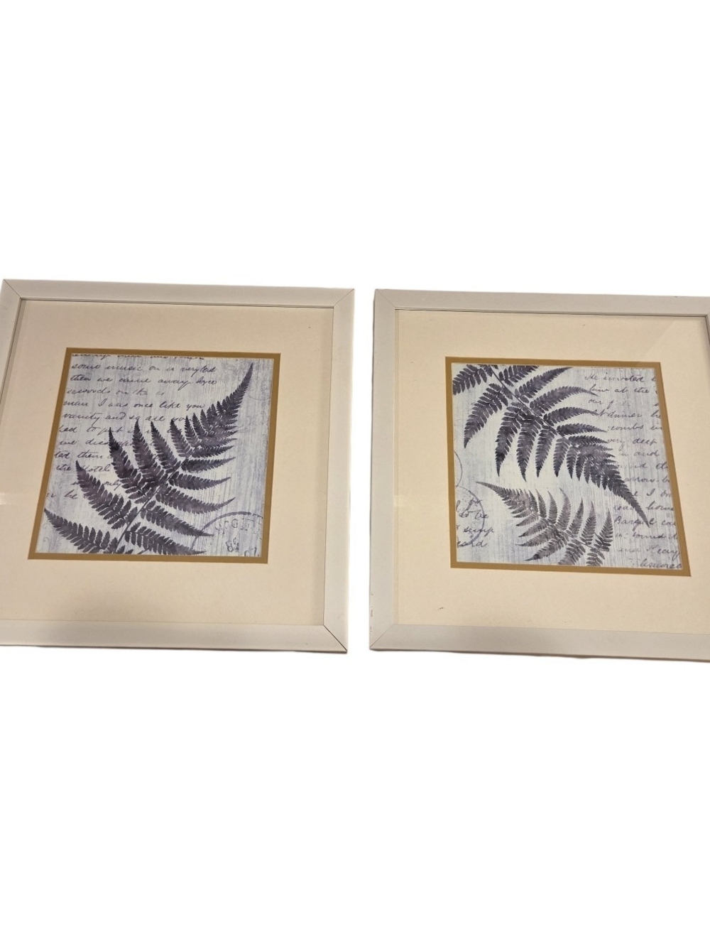 Framed Blue Fern Wall Art Pair